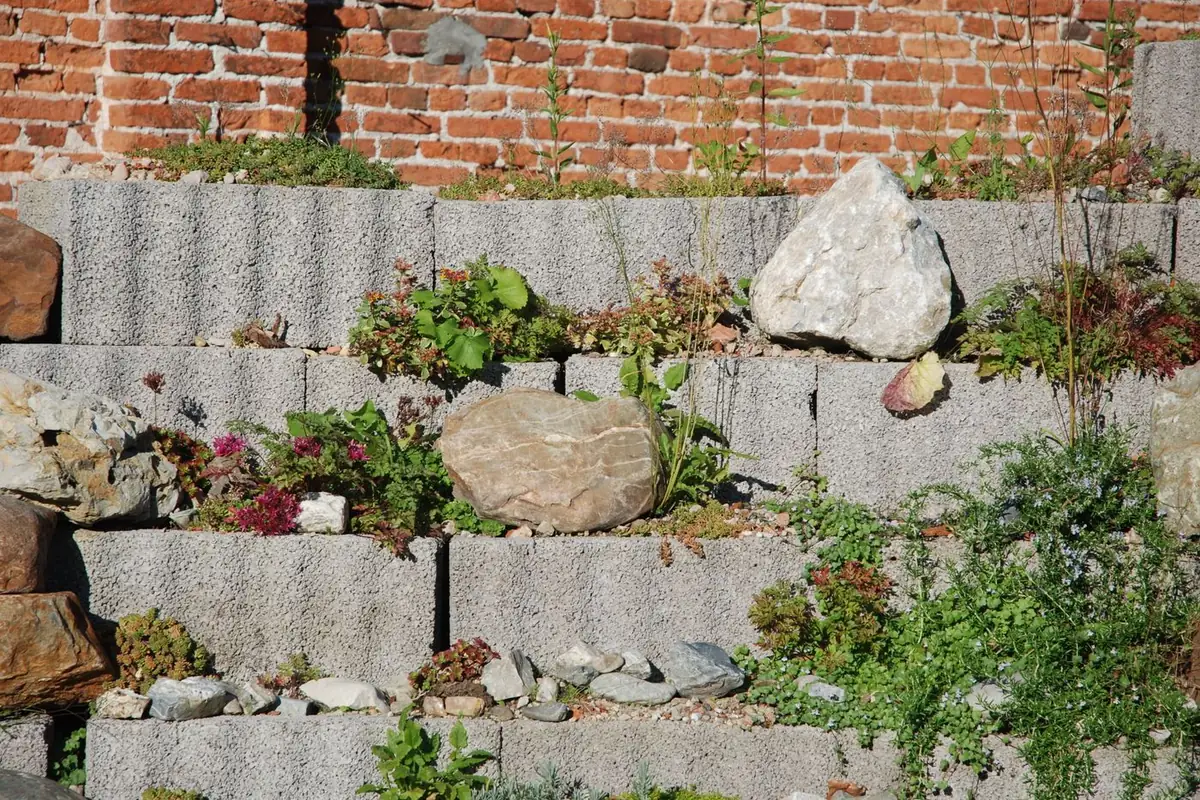 Muret en blocs béton délimitant un massif planté